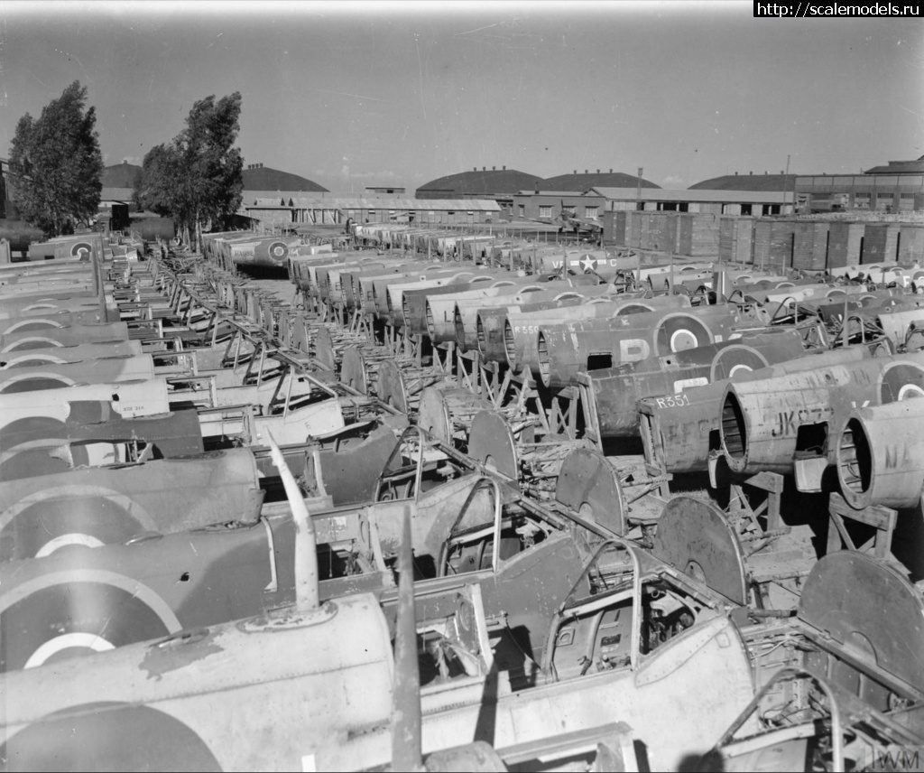 1638173863_MU-Spitfires-at-RAF-156-Maintenance-Unit-Blida-Algeria-1944-IWM-CNA3301.jpg : #1713786/ Spitfire Mk.IXc 1/48 Eduard - !  