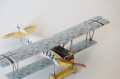 Eduard 1/72 Fokker D.VII