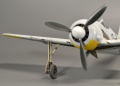 Eduard 1/48 Fw 190A-4 Spatz