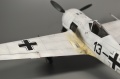 Eduard 1/48 Fw 190A-4 Spatz