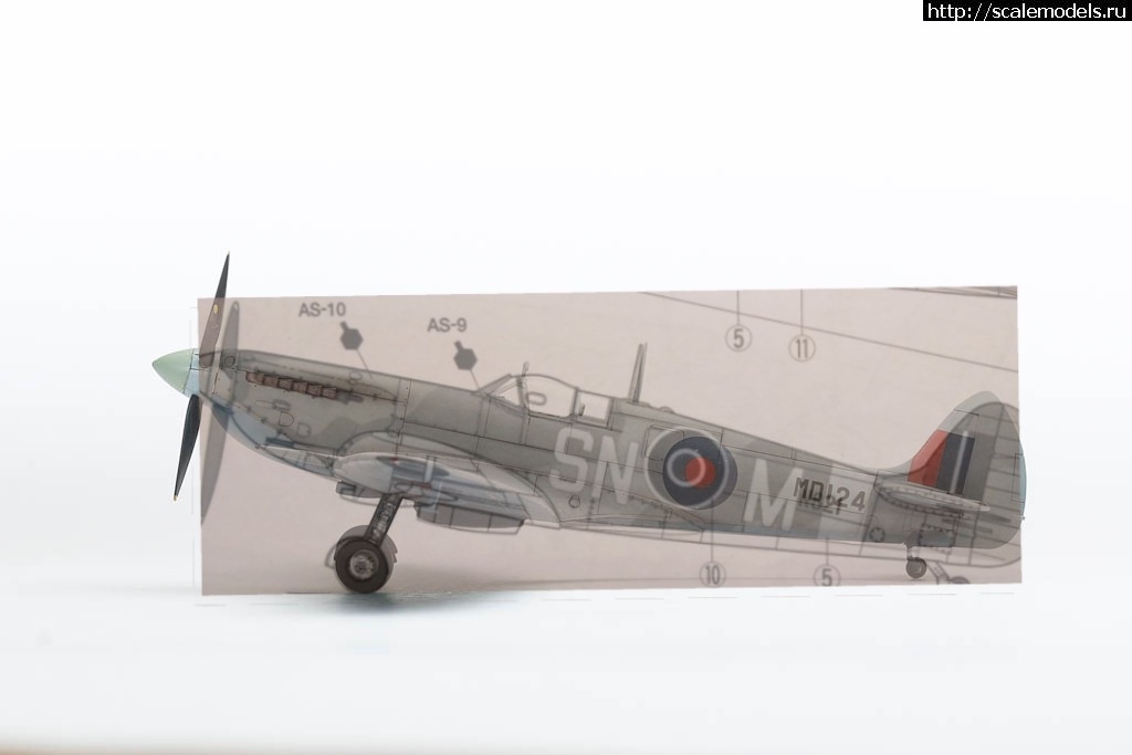 1638852474_svedennyjj.jpg : #1715140/ Hasegawa 1/72 Spitfire VII Long wing...(#15350) -   