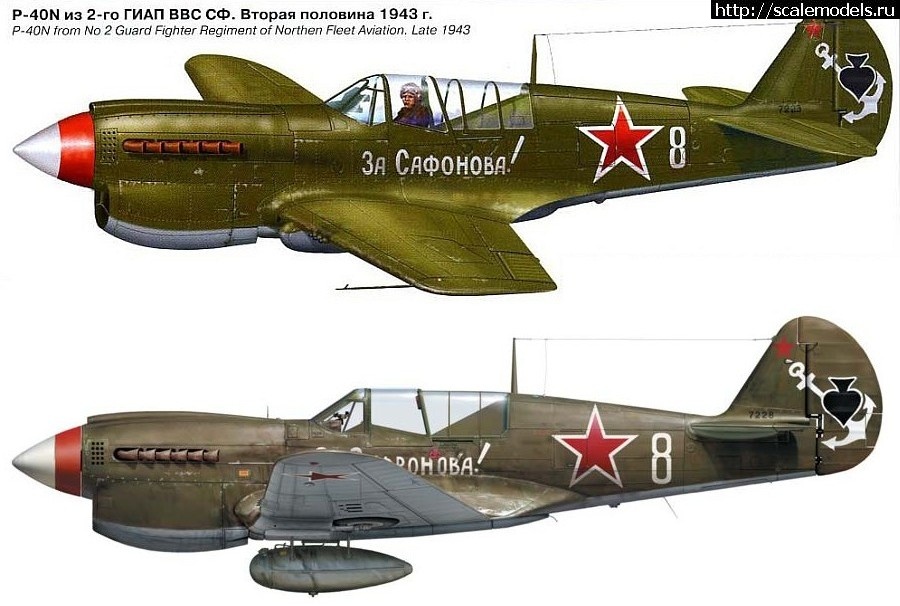 1638859107_P_40_N_profile.jpg : P-40 M/N 1/72 Academy !  