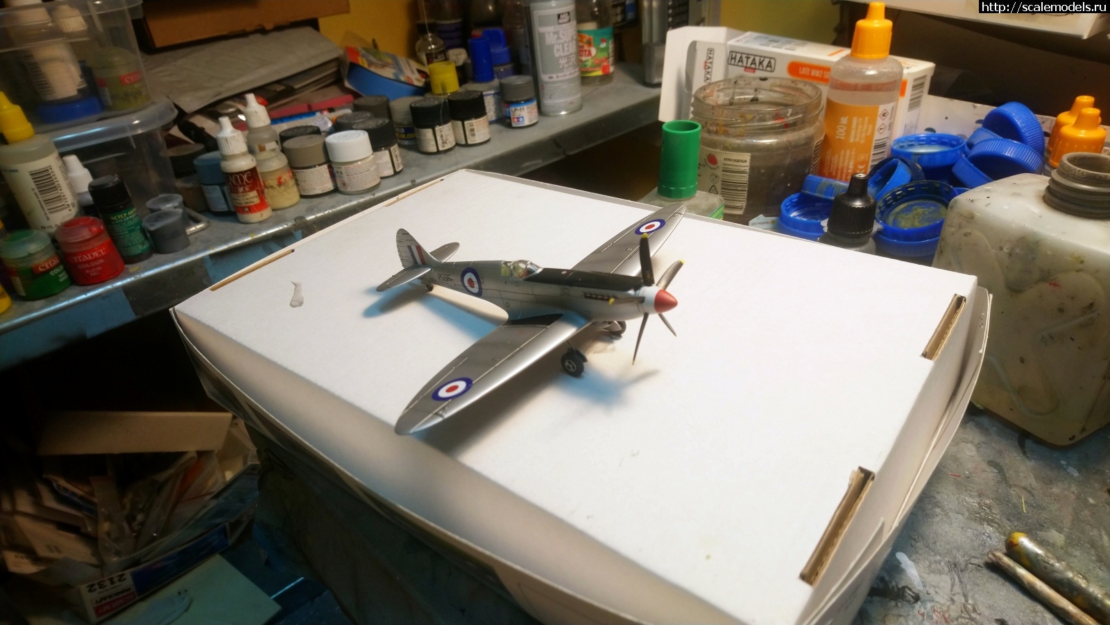 1639766288_DSC_0259.JPG : #1717017/ Spitfire PR XIX 1/72 Airfix   