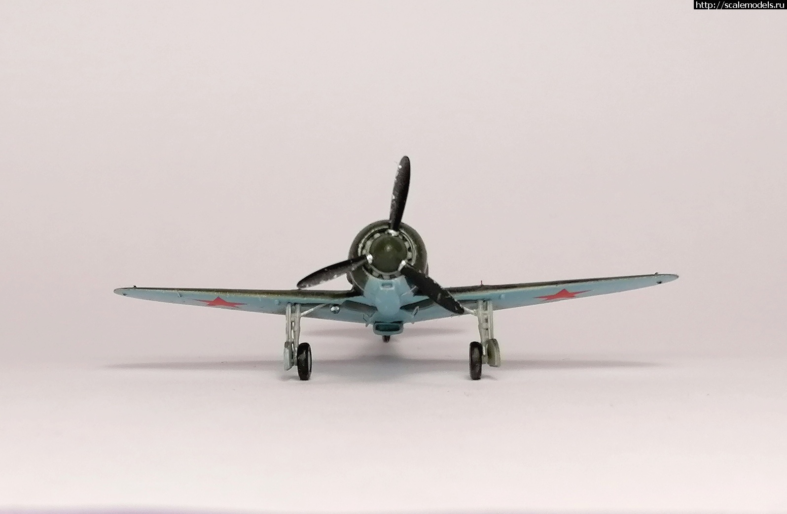 1641120632_6.jpg :  1/144 -5  