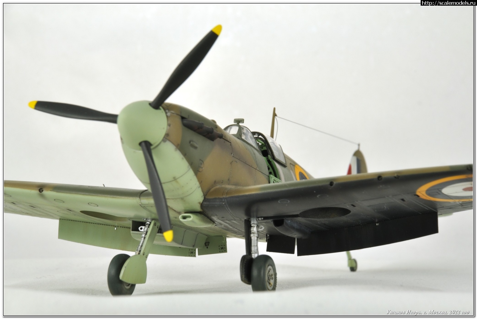 1641221798_DSC_5815_00001.jpg : #1720005/ Supermarine Spitfire Mk.I, Tamiya, 1/48   