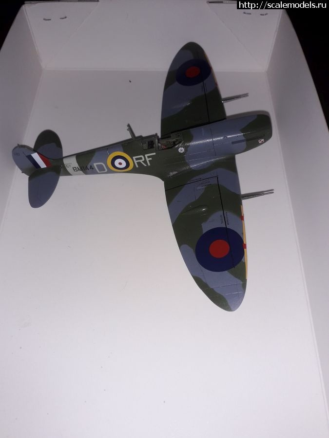 1641420686_spit12.jpg : #1720452/ Supermarine Spitfire MkV, Revell, 1:72   