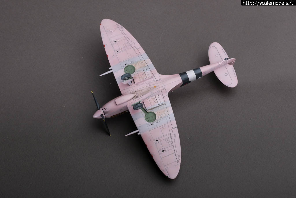 1641568489_235B9674.JPG : #1720684/ Spitfire FR Mk.IXC 1/72 Hasegawa   