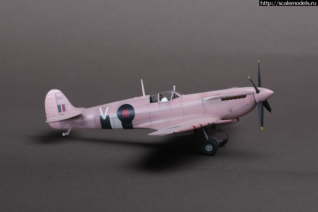 1641568491_235B9679.JPG : #1720684/ Spitfire FR Mk.IXC 1/72 Hasegawa   