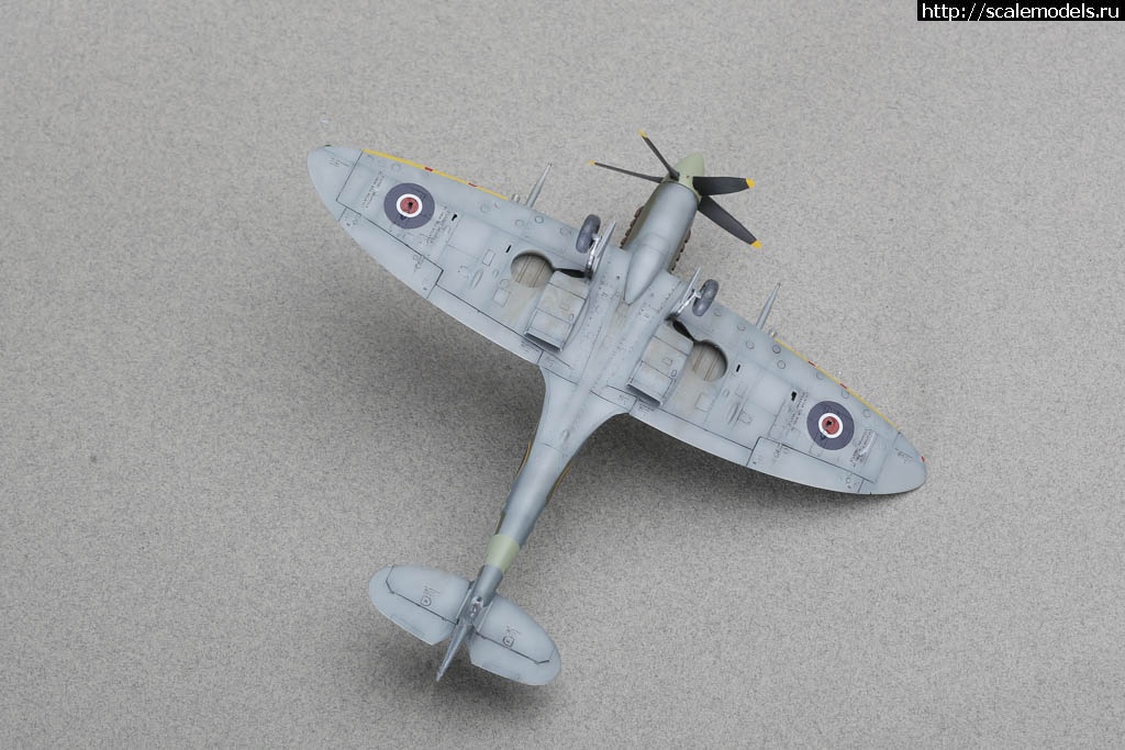 1641568651_235B9779.JPG : #1720685/ Spitfire Mk. XIVC 1/72 Sword   