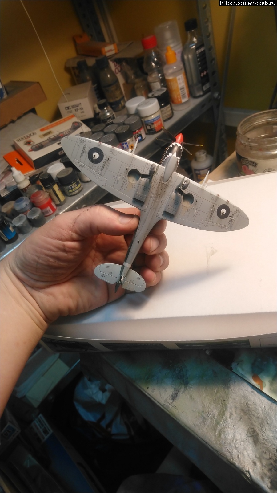 1641587656_IMG-20220107-WA0013.jpeg : #1720751/ Spitfire Mk. XIVE 1/72 Sword   