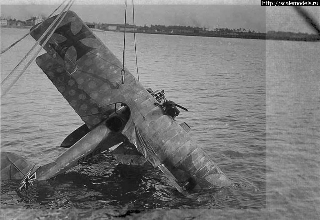 1641814931_9-3.jpg : Albatros W4 1/48 Gavia  