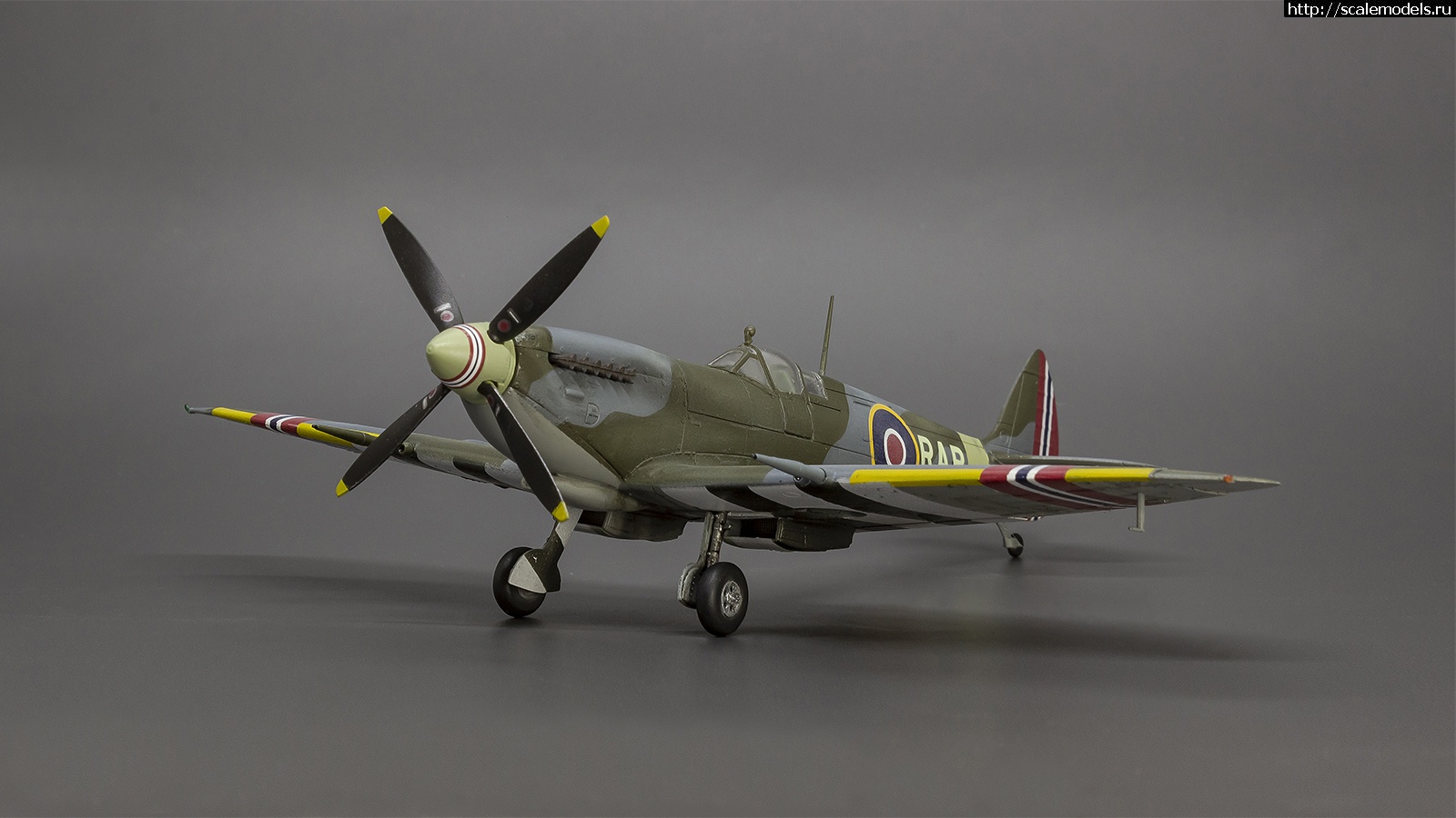 1642330083_IMG_8787.jpg : #1722419/ Eduard 1/72 Spitfire Mk.IXe - R.A. Berg - !  