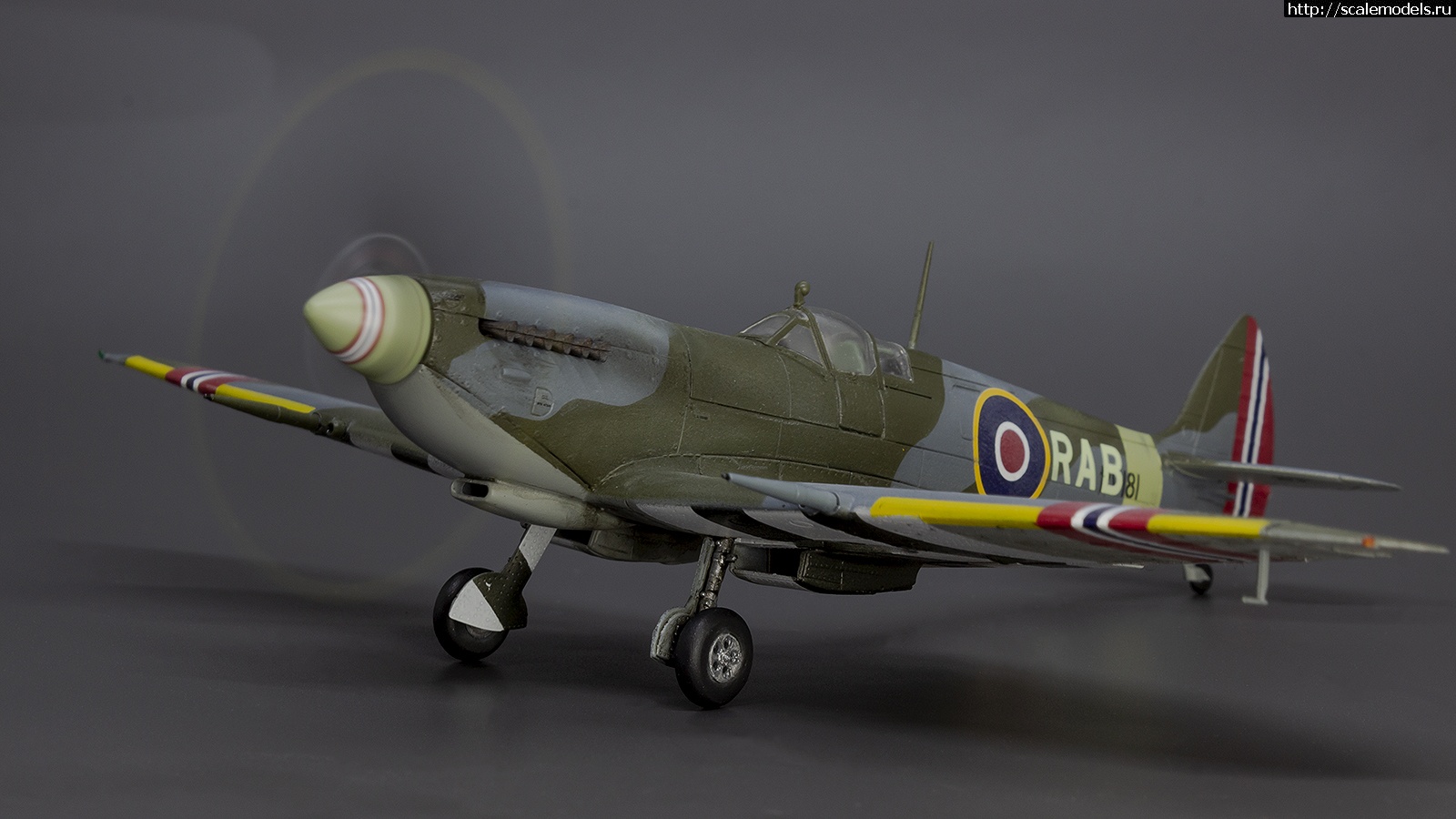 1642330096_IMG_8820.jpg : #1722419/ Eduard 1/72 Spitfire Mk.IXe - R.A. Berg - !  