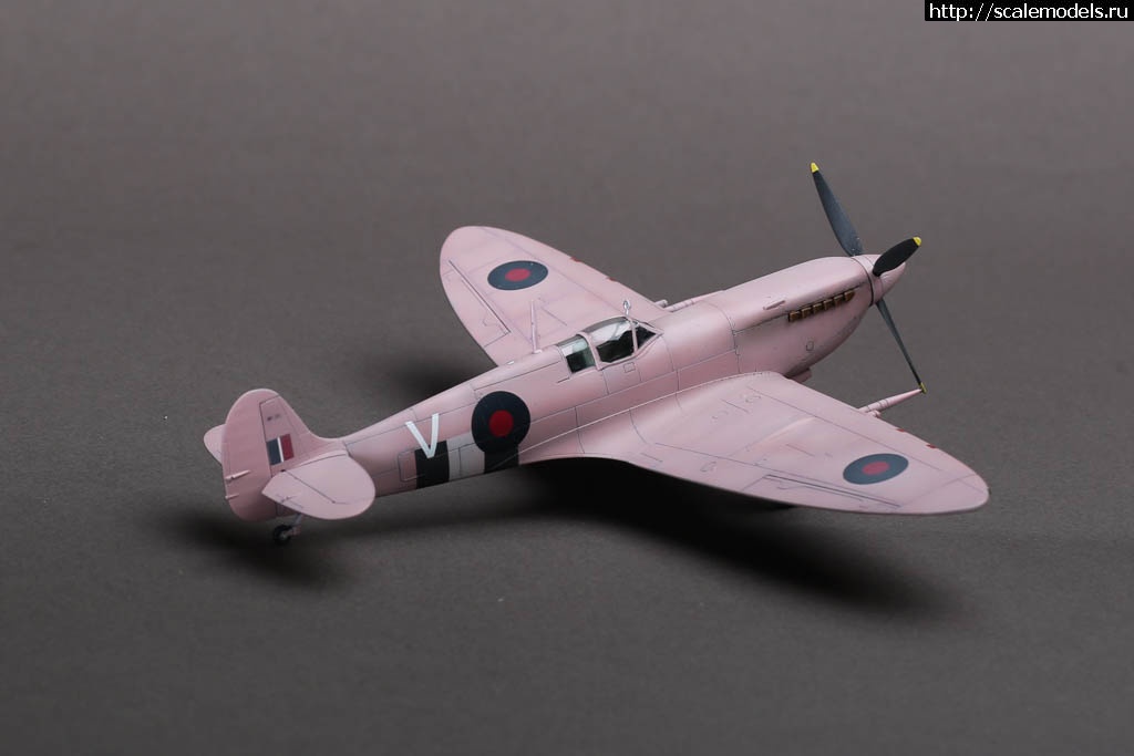 1642362091_235B9677.JPG : Spitfire FR MK.IX от Хасегава - Розовая злюка Закрыть окно