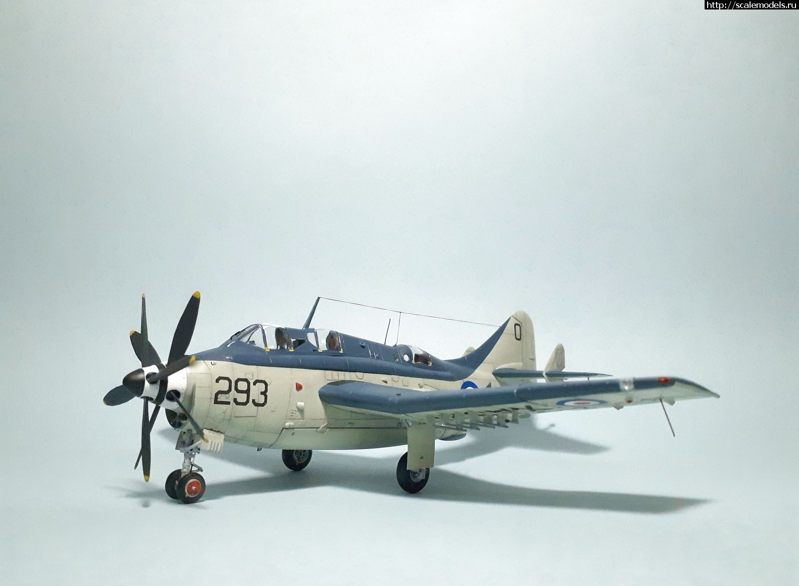 1642450256_1629314969_5.jpg : #1699355/ Fairey Gannet AS Mk.I ( - ARKmodels) (1:72) !  