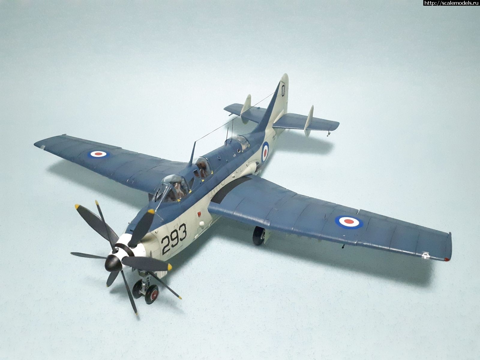 1642450262_1629315029_16.jpg : #1699355/ Fairey Gannet AS Mk.I ( - ARKmodels) (1:72) !  