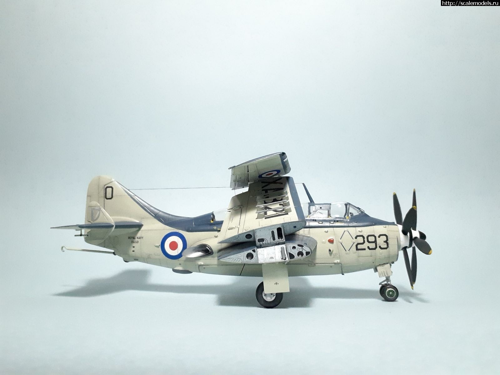 1642450272_1629315266_35.jpg : #1699355/ Fairey Gannet AS Mk.I ( - ARKmodels) (1:72) !  