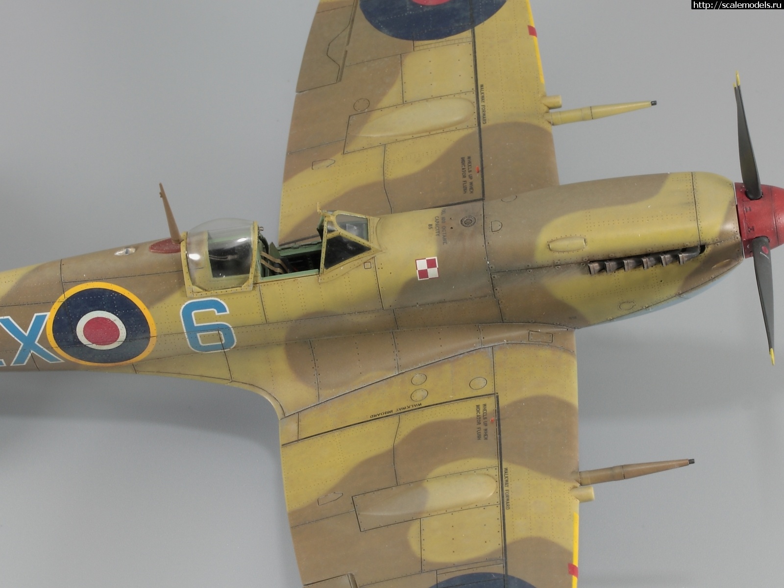 1642699552_IMG_3902.JPG : #1723335/ Spitfire Mk.IXc 1/48 Eduard - !  