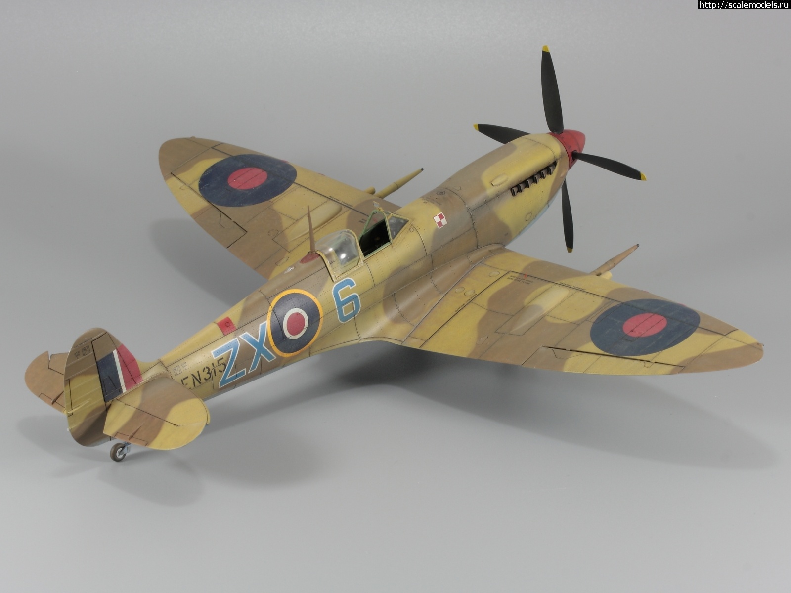 1642699687_IMG_3914.JPG : #1723335/ Spitfire Mk.IXc 1/48 Eduard - !  