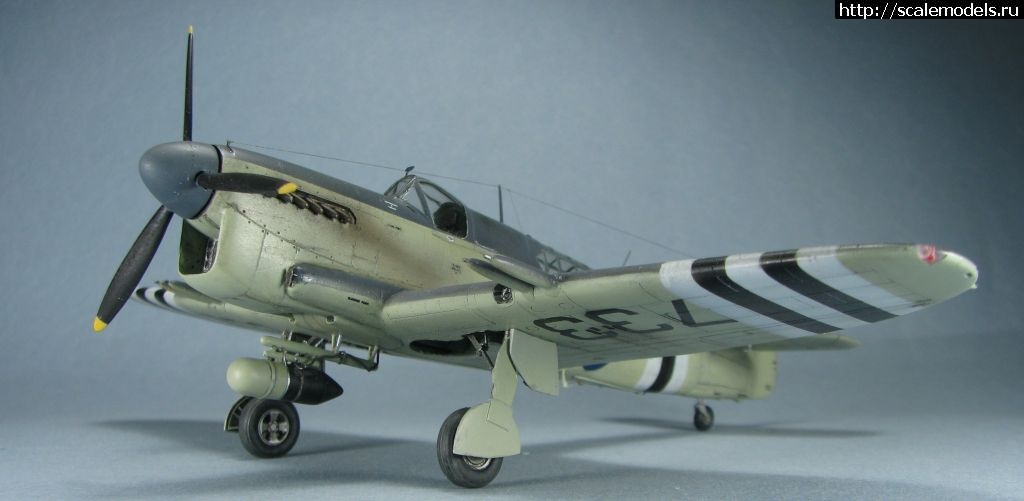 1643039416_1.jpg : #1723871/ Special hobby Fairey Firefly FR.I   1:72-  