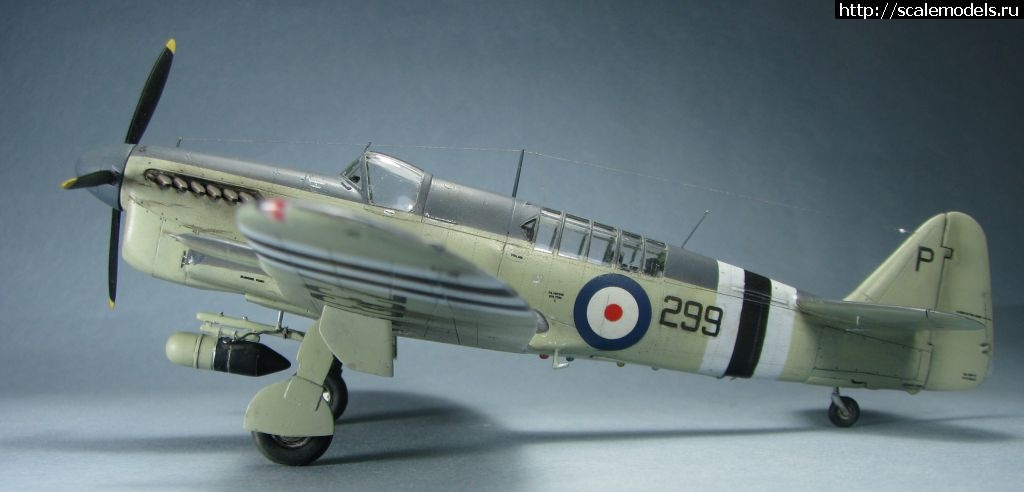 1643039418_2.jpg : #1723871/ Special hobby Fairey Firefly FR.I   1:72-  