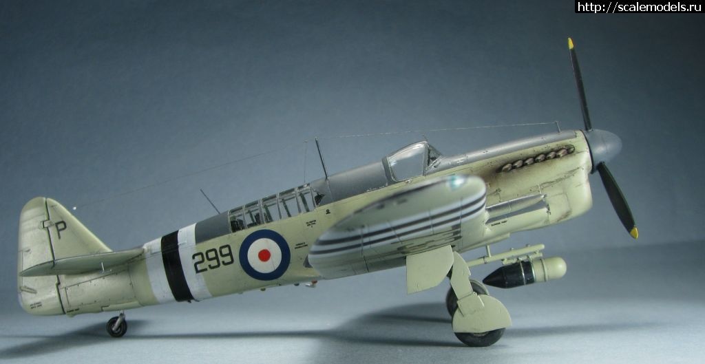 1643039422_6.jpg : #1723871/ Special hobby Fairey Firefly FR.I   1:72-  