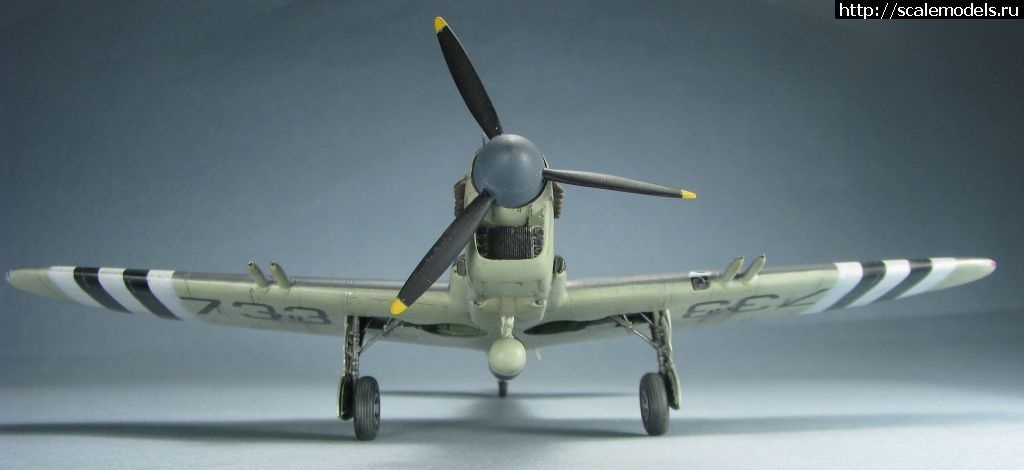 1643039424_8.jpg : #1723871/ Special hobby Fairey Firefly FR.I   1:72-  