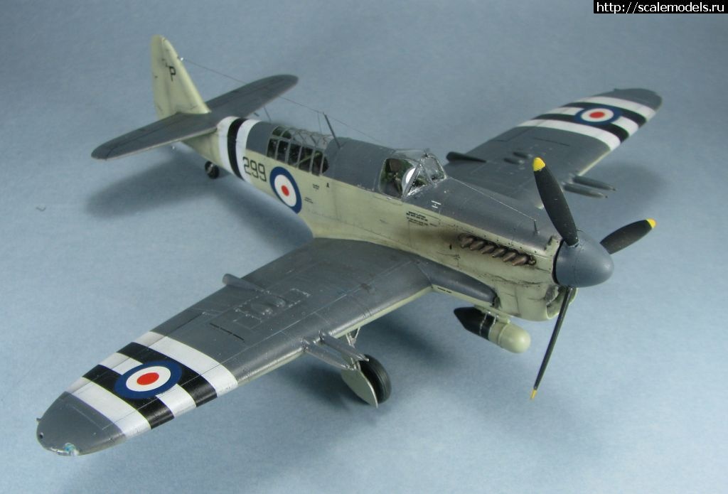 1643039426_9.jpg : #1723871/ Special hobby Fairey Firefly FR.I   1:72-  