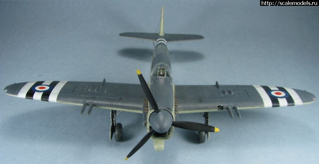 1643039427_10.jpg : #1723871/ Special hobby Fairey Firefly FR.I   1:72-  