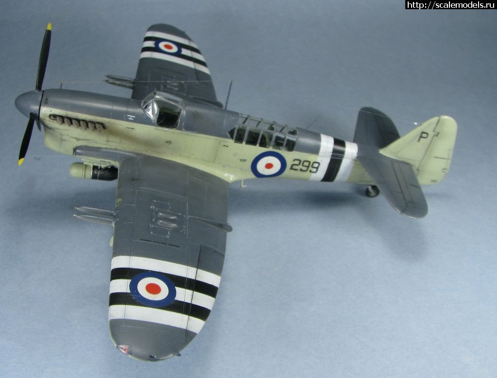 1643039430_12.jpg : #1723871/ Special hobby Fairey Firefly FR.I   1:72-  