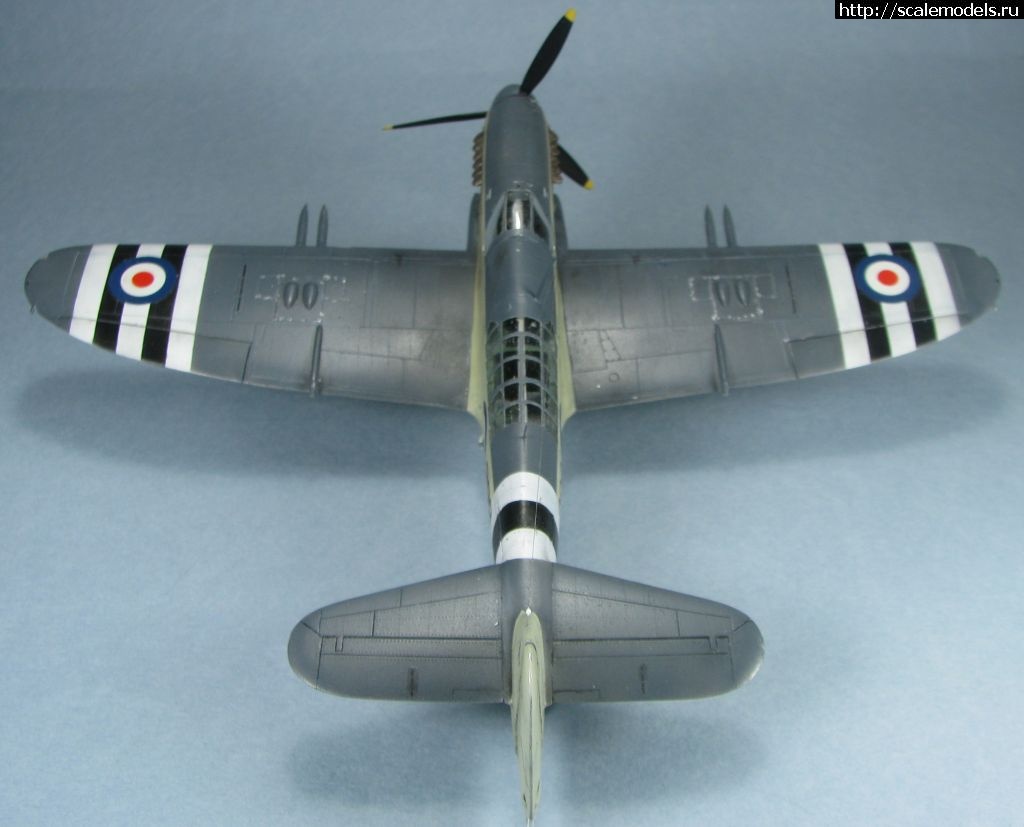 1643039433_14.jpg : #1723871/ Special hobby Fairey Firefly FR.I   1:72-  