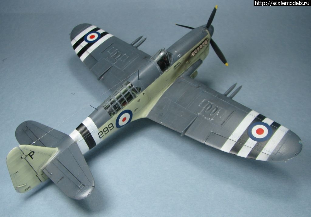 1643039435_15.jpg : #1723871/ Special hobby Fairey Firefly FR.I   1:72-  