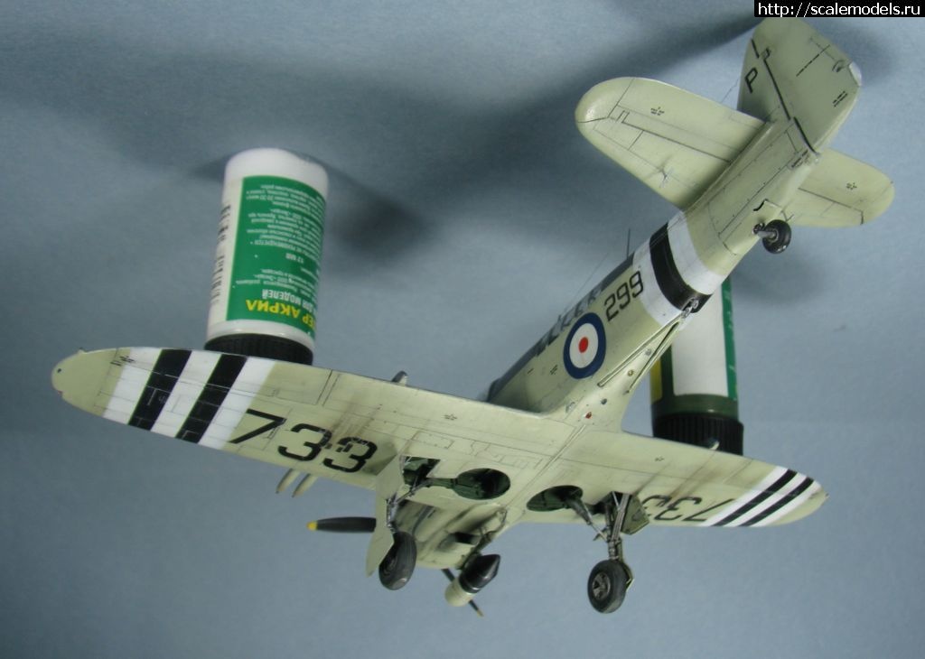 1643039439_18.jpg : #1723871/ Special hobby Fairey Firefly FR.I   1:72-  