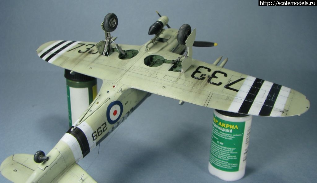 1643039441_19.jpg : #1723871/ Special hobby Fairey Firefly FR.I   1:72-  