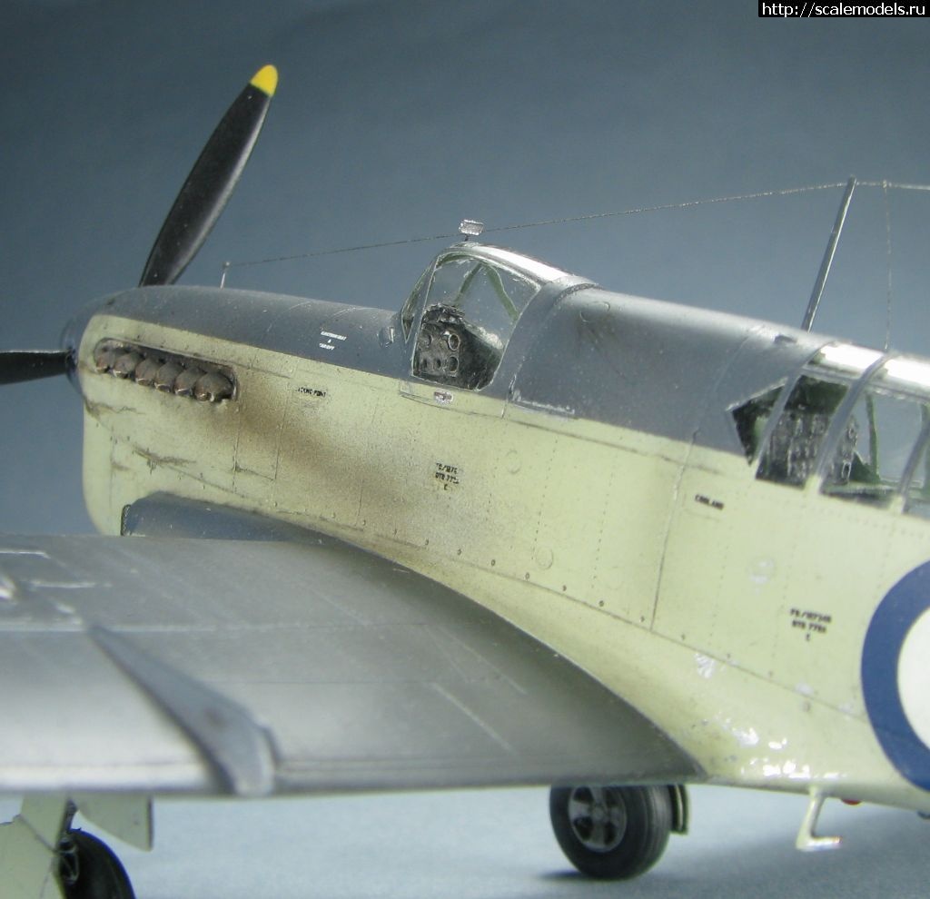 1643039484_34.jpg : #1723871/ Special hobby Fairey Firefly FR.I   1:72-  