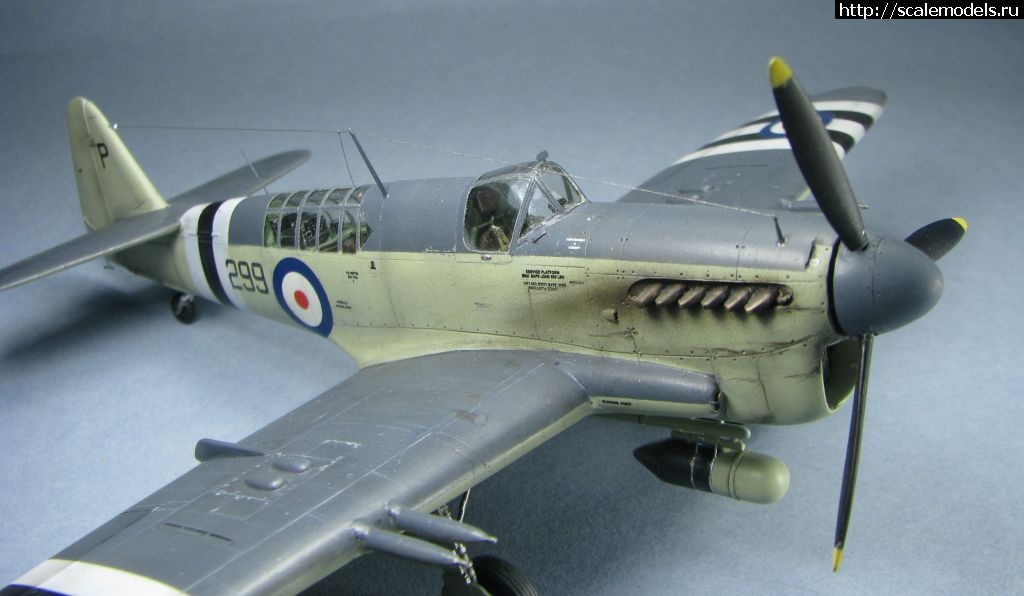 1643039489_38.jpg : #1723871/ Special hobby Fairey Firefly FR.I   1:72-  