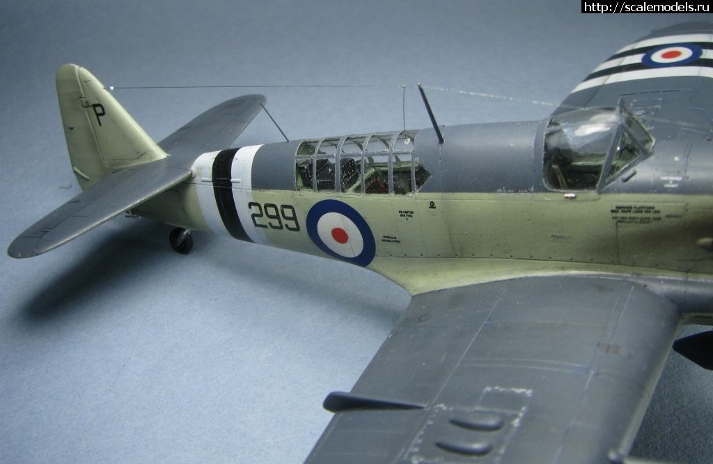 1643039492_40.jpg : #1723871/ Special hobby Fairey Firefly FR.I   1:72-  