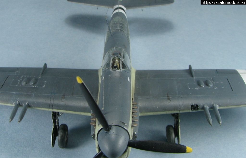 1643039493_41.jpg : #1723871/ Special hobby Fairey Firefly FR.I   1:72-  