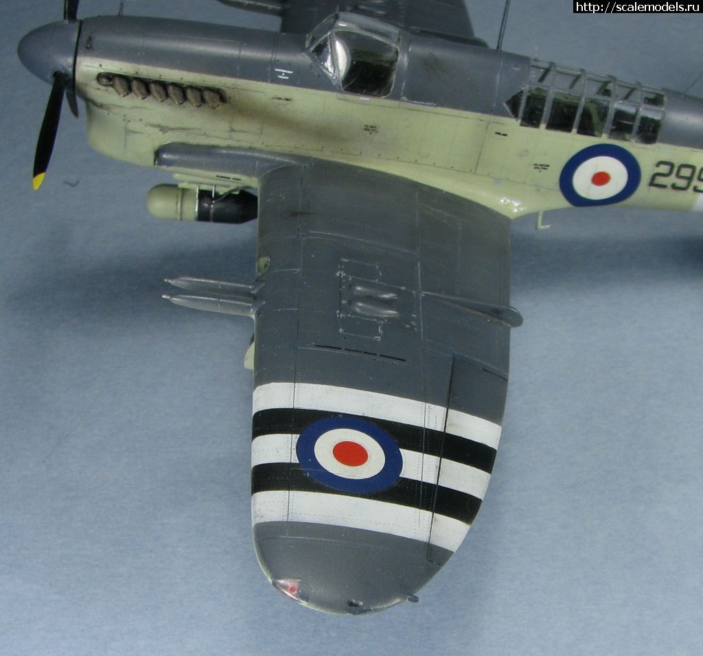 1643039495_42.jpg : #1723871/ Special hobby Fairey Firefly FR.I   1:72-  