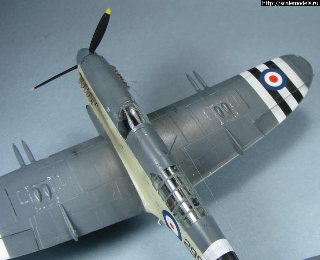 1643039497_43.jpg : #1723871/ Special hobby Fairey Firefly FR.I   1:72-  