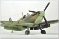 Tamiya 1/48 Supermarine Spitfire Mk.I