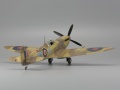 Eduard 1/48 Spitfire Mk. IXc -  