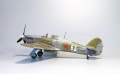 Hasegawa 1/48 Hurricane Mk.II -   