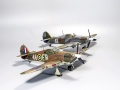 Hasegawa 1/48 Hurricane Mk.II -   