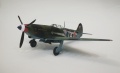 ARK Models 1/48 -9