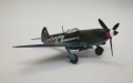 ARK Models 1/48 Як-9