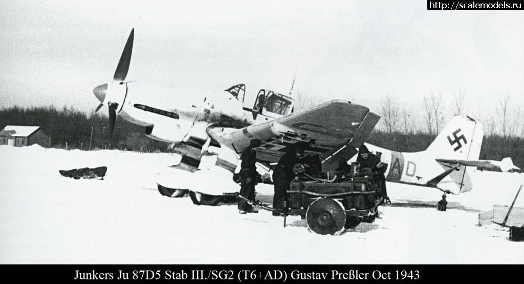 1645977158_Junkers-Ju-87D5-Stuka-Stab-III-SG2-T6AD-Gustav-Prefler-Oct-1943-01.jpg : #1729785/  Ju-87  