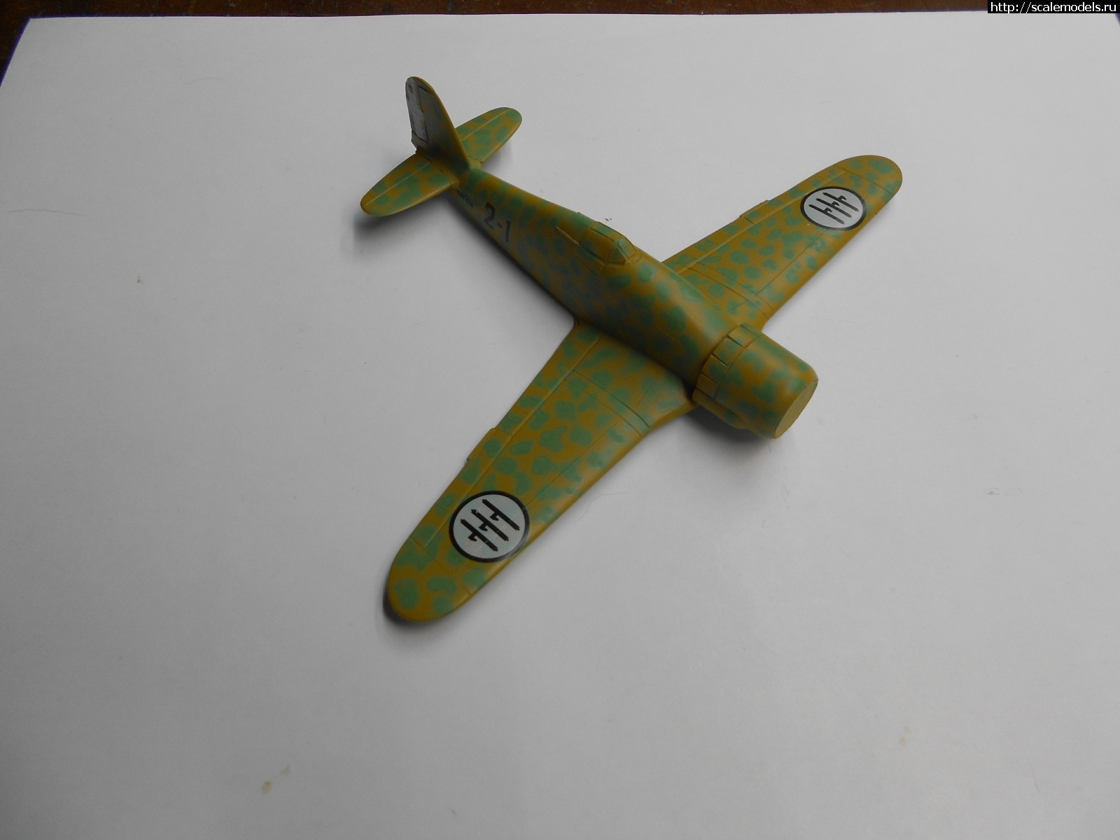 1645992473_DSCN0640.JPG : #1729821/ Fiat G.50S  Airfix 1/72 WHAT IF    