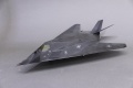 Hasegawa 1/72 F-117A American flag