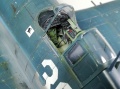 Eduard 1/48 F6F-3 Hellcat  -    